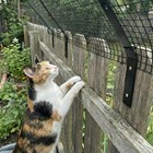 Cat Fence Outdoor Barrier 33ft   Anti Climb Cat Proof Fence Topper