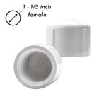 2 Pcs White Sch 40 1-1 2 Inch Fnpt Female 2 - Inch Cap Fnpt  