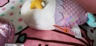 Pusheen Plush Mermaid Gund Limited Edition Pusheen Cat