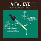 Earth Animal Vital Eye Herbal Tincture Dog   Cat Eye Health Supplement 2oz