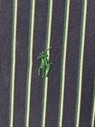 Polo Ralph Lauren Shirt Xxl  Button Up Midweight Pony Blue Custom Ft