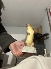 Aynsley Figurine - Otter