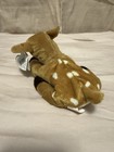 Rare Ty Beanie Baby Whisper The Deer W  Errors