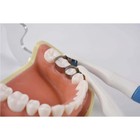 50pc Dental Pro Matrices Bands Tofflemire Matrix Band Standard curved Single Use