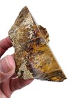 Grassy Mountain Petrified Wood Faced Rough 150 6 Grams