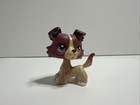 Littlest Pet Shop Collie Dog Nintendo Different Eyes Please Read Description