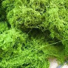 Artificial Green Moss Decoration Fake Lawn Potted Plant Fairy Garden Floors New