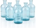 6-pack Glass Bud Vase  Apothecary Bottle Vase  Decorative Glass Bottle For