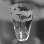 Saluki  persian Greyhound   Frieze Boxed 57cl Conical 1 Pint Glass