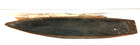 Antique 32  Carved Hollow Wood Schooner Pond Model Hull Sails  Spars 1870-1920