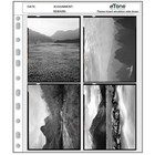 50x Archival Storage Sheets 4x5 Page Bag Ring Binder Archival B w Film Negative