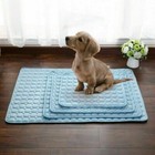 Pet Cooling Mat Cool Pad Comfortable Cushion Bed Blanket For Dog Cat Puppy