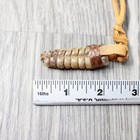 Very Large Rattlesnake Rattle  Necklace   4257    Mountain Man Necklace