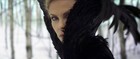Charlize Theron - Snow White And The Huntsman   Movie Screen Worn Costumes   Coa