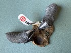 Schleich 2010 Badger Cubs Figure Wildlife Baby Weasel 14651 Retired Toy Figurine