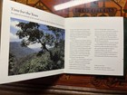 Audemars Piguet Foundation    time For The Trees    Forest Conservation Booklet