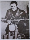 Lot Of 5 Vintage Elvis Presley Movie 4 X 5 B w Studio Promo Photo Prints   Color