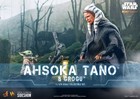 Hot Toys   Sideshow Star Wars 1 6 Scale Ahsoka   Grogu Factory Sealed