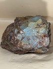 9 79lb Gem Grade Lahontan Blue Dead Camel Jasper Rough