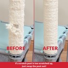 Kitty City Cat Furniture Accessories Cat Scratching Post Replacement And Only   
