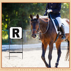 Dressage Letters Arena Markers Dressage Equipment For Equestrian Athletes And Ev