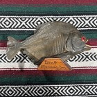 Vintage Dried Taxidermy Amazon Mega Man Eating Piranha Mancave