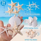 24pcs Sea Shells For Crafts Decoration - Real White Natural 2 -5  Scallop She   