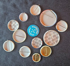 Vintage Us Political Campaign Pinback Buttons Lot Of 13 Taft Wilson Roosevelt