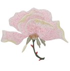 Pink Rose Applique Patch - Embroidered Flower Garden Badge 2-5 8   iron On 