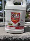 Jt Eaton 289699 Kills Bedbugs Spray  1 Gal