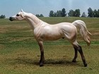Peter Stone Model Horse Arabian Chip Cm Painted Rose Grey Nr Free Ship Reduced 