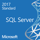 Microsoft Sql Server 2017 Standard Edition - 16 Core License  physical 