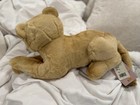 Vintage Steiff Barry Lion 44 Plush 103032 Nwt Tags Rare Htf 2002 Germany