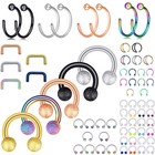 2-24pcs 14g 16g 20g Surgical Steel Nose Hoop Lip Septum Body Piercing Rings Kit