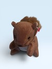 Original Ty Beanie Babies Nuts The Squirrel Style 4114 1996