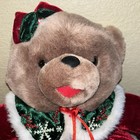 Dan Dee Snowflake Teddy Bear Christmas Plush Brown Girl Red Dress Bow 2006 S1