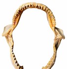 Vintage Large Bull Shark Jaws   Teeth 8    X 7    Jaw Nautical Fishing Decor