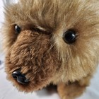 Vintage Pillow Pets Brown Bear 1974 Plush 19 In X 12 In R  Dakin Vg Fast Ship