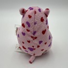 Webkinz Mazin Hamster Cinnamon Hearts First Edition New Sealed Code Plush Ganz