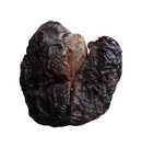 5 Olives Centennial Olive - Jerusalem Garbage Gate Mention In Nehemiah