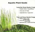 3 Bags Fresh Water Aquarium Plant Seeds Live Grass Fish Tank Decorations