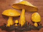 Vtg 1970 Mushroom Wall Hanging Hard Plastic Mcm Decor Dart Ind Usa Cottagecore 