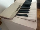 Casio Privia Px-160 White Digital Piano  keyboard Only 