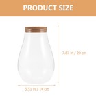 Clear Glass Vase Orb Geometric Glass Terrarium Glass Display Bottles