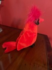 Ty Beanie Baby Mac The Cardinal Errors Collectible - Excellent Condition 