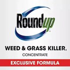 Roundup Weed grass Killer Concentrate Makes 5 Gallons - 16 Fl  Oz 