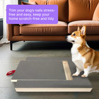 Dog Nail Scratch Board Treat Drawer Wooden Filing Pad 2 Sandpaper Sheets