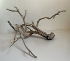 Manzanita Driftwood  Reptile Tank Decor   Aquascape  Terrarium  Aquarium Wood
