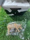 Cow Parade Starry Night In Texas 2002 Complete W  Box   Tag Item  7255