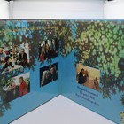 The Princess Bride 1988 The Criterion Collection Laserdisc Cc1140l Rated Pg